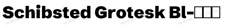 Schibsted Grotesk Bl字体转换